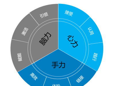 數字化技術在人力資源管理轉型中的應用